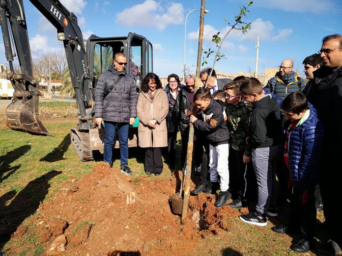 alberi sperone