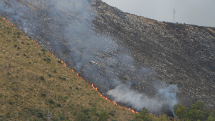 incendio monte cofano