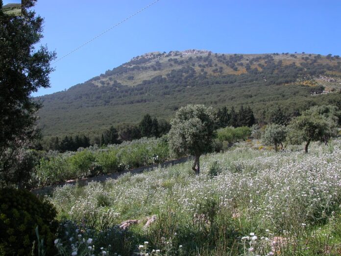 Riserva Naturale - grotta conza