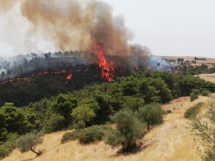 incendi sicilia - foto facebook