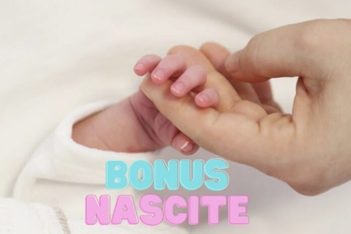 nascita-bonus