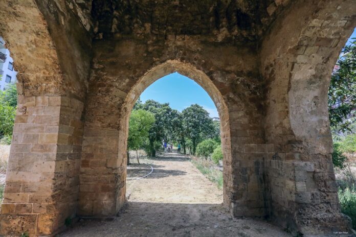 giardino villa napoli